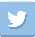 Twitter icon